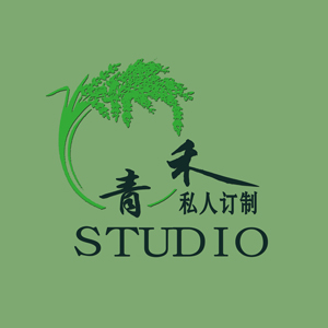 深圳青禾·STUDIO